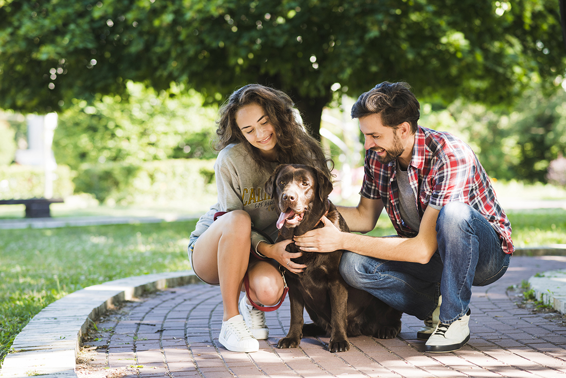 Obligatorio tener un seguro de Responsabilidad Civil para perros a partir del 29 de septiembre: Entrada en vigor de la Ley de Bienestar Animal